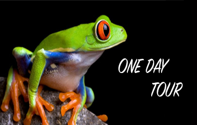 One day tour in costa rica